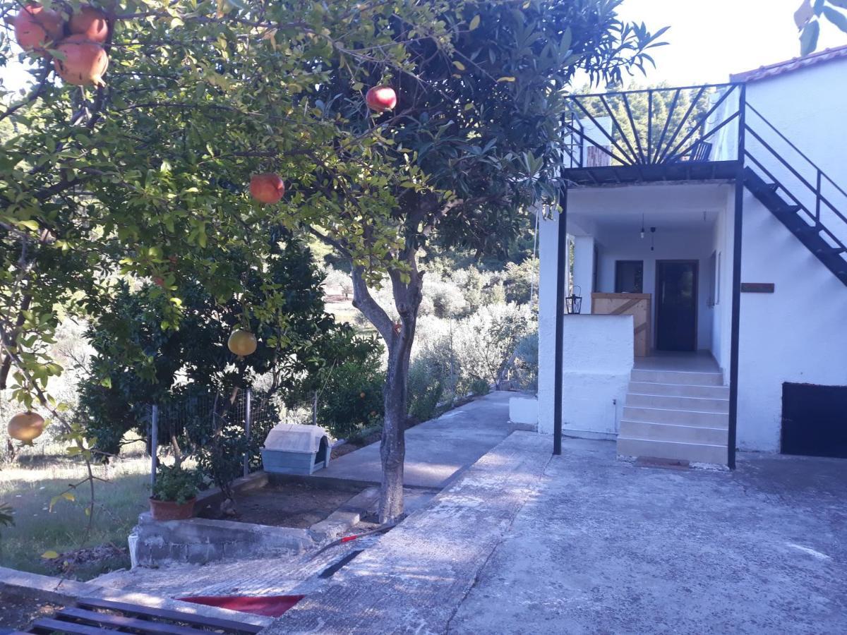 Wildherb House Agriovotano 外观 照片